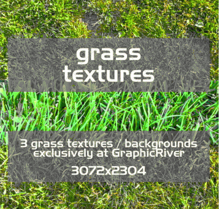 10 great grass Textures with high resolution