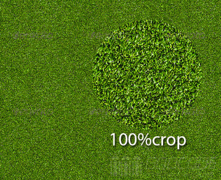 10 great grass Textures with high resolution