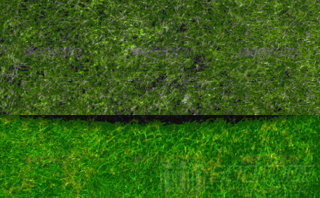 10 great grass Textures with high resolution