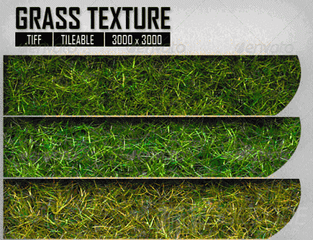 10 great grass Textures with high resolution